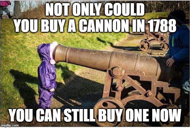 Girl Face In Cannon | NOT ONLY COULD YOU BUY A CANNON IN 1788 YOU CAN STILL BUY ONE NOW | image tagged in girl face in cannon | made w/ Imgflip meme maker