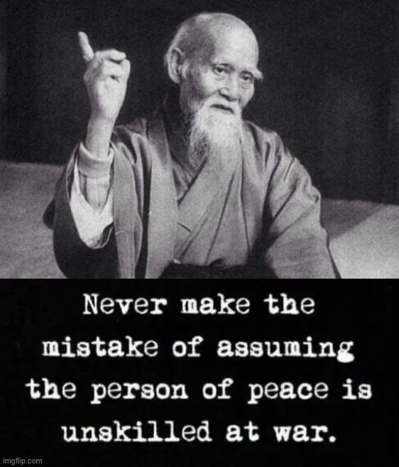 image tagged in wise old chinese man | made w/ Imgflip meme maker