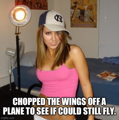 Scumbag Stacey | CHOPPED THE WINGS OFF A PLANE TO SEE IF COULD STILL FLY. | image tagged in scumbag stacey | made w/ Imgflip meme maker