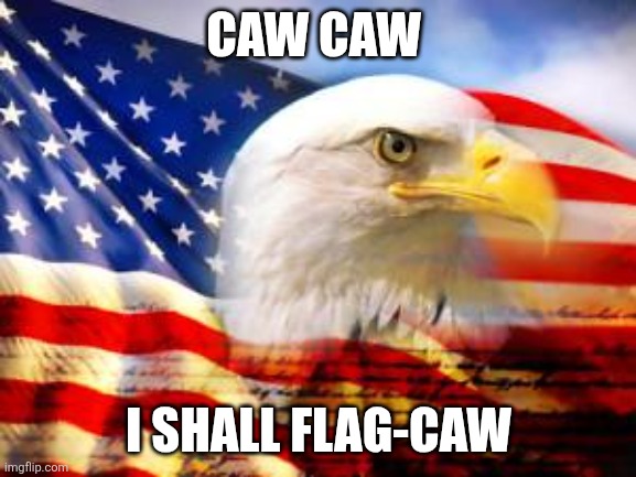American Flag | CAW CAW I SHALL FLAG-CAW | image tagged in american flag | made w/ Imgflip meme maker