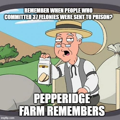Pepperidge Farm Remembers | REMEMBER WHEN PEOPLE WHO COMMITTED 37 FELONIES WERE SENT TO PRISON? PEPPERIDGE FARM REMEMBERS | image tagged in memes,pepperidge farm remembers | made w/ Imgflip meme maker