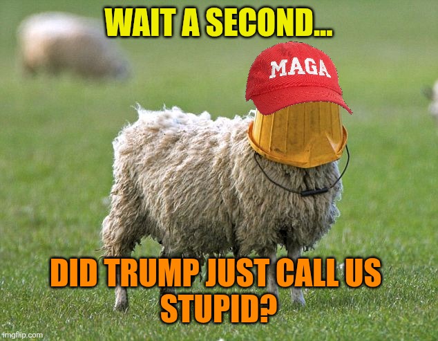 stupid sheep | WAIT A SECOND... DID TRUMP JUST CALL US 
STUPID? | image tagged in stupid sheep | made w/ Imgflip meme maker