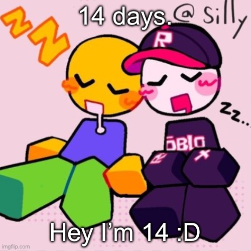 Gayass noob temp | 14 days. Hey I’m 14 :D | image tagged in gayass noob temp | made w/ Imgflip meme maker
