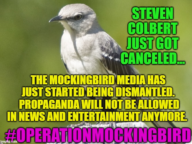 MOCKINGBIRD | STEVEN COLBERT JUST GOT CANCELED... THE MOCKINGBIRD MEDIA HAS JUST STARTED BEING DISMANTLED.  PROPAGANDA WILL NOT BE ALLOWED IN NEWS AND ENTERTAINMENT ANYMORE. #OPERATIONMOCKINGBIRD | image tagged in mockingbird | made w/ Imgflip meme maker