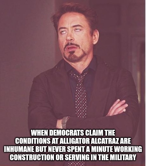ThE aIr CoNdItIoNiNg DoEsN't WoRk. ThEy HaVe To EaT cOlD sAnDwIcHeS. Boohoo. | WHEN DEMOCRATS CLAIM THE CONDITIONS AT ALLIGATOR ALCATRAZ ARE INHUMANE BUT NEVER SPENT A MINUTE WORKING CONSTRUCTION OR SERVING IN THE MILITARY | image tagged in memes,face you make robert downey jr,alligator,prison,illegal aliens | made w/ Imgflip meme maker