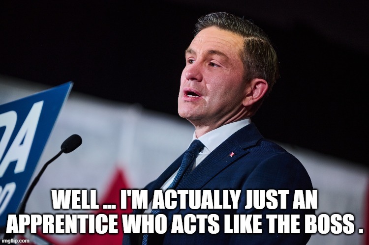 canadian politics | image tagged in political meme | made w/ Imgflip meme maker