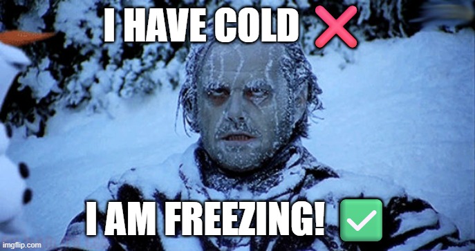 Freezing cold | I HAVE COLD ❌; I AM FREEZING! ✅ | image tagged in freezing cold | made w/ Imgflip meme maker