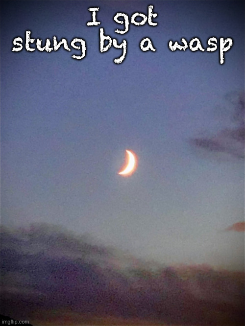 The moon | I got stung by a wasp | image tagged in the moon | made w/ Imgflip meme maker