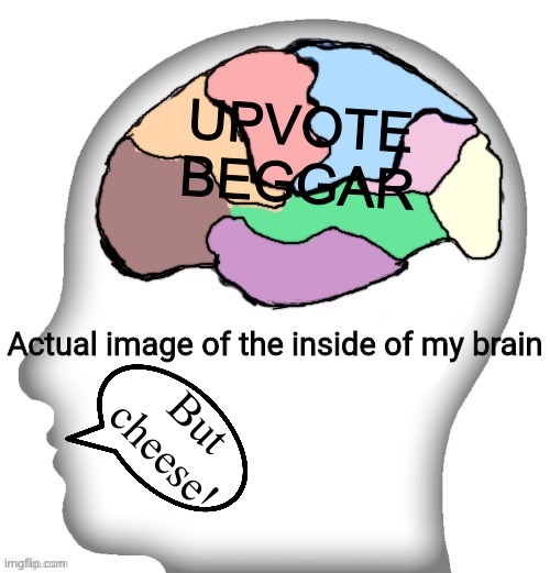 Actual image of the inside of my brain | UPVOTE BEGGAR But cheese! | image tagged in actual image of the inside of my brain | made w/ Imgflip meme maker