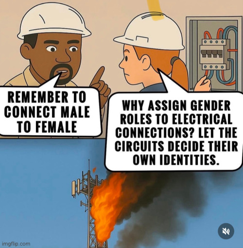 guh | image tagged in stupid people be like,stupid people,gender,electricity | made w/ Imgflip meme maker