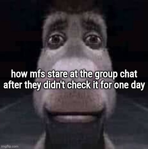 . | how mfs stare at the group chat after they didn't check it for one day | image tagged in donkey staring | made w/ Imgflip meme maker