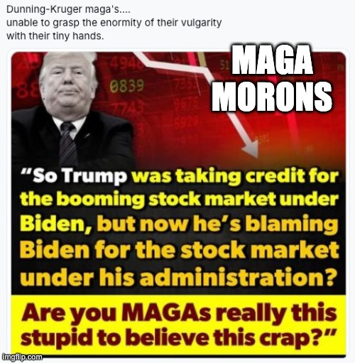 trumpty dumpty | MAGA
MORONS | made w/ Imgflip meme maker