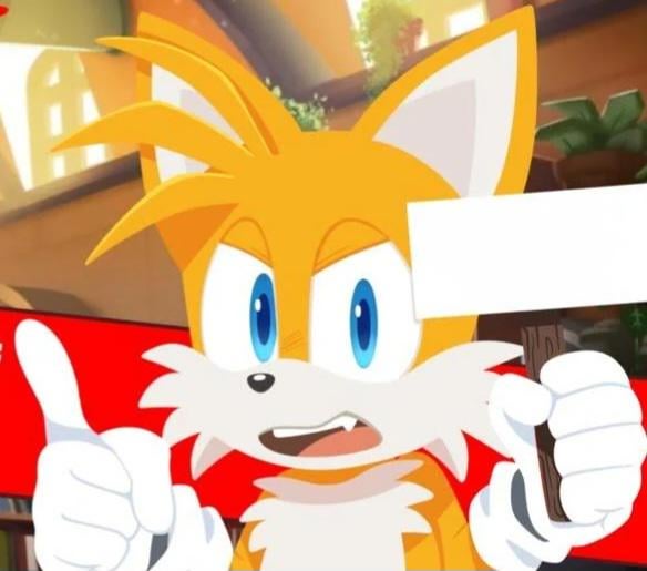 Tails Holding a sign Blank Meme Template