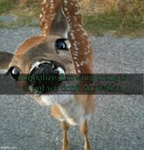 /srs | normalize throwing oranges at ppl we don't know/like | image tagged in ashercore | made w/ Imgflip meme maker