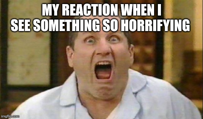 Reaction | MY REACTION WHEN I SEE SOMETHING SO HORRIFYING | image tagged in al bundy,funny memes | made w/ Imgflip meme maker