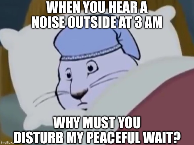 Zamn, must be smarter than we thought | WHEN YOU HEAR A NOISE OUTSIDE AT 3 AM; WHY MUST YOU DISTURB MY PEACEFUL WAIT? | image tagged in max is awake,iq,yeah this is big brain time,verbalase,3am | made w/ Imgflip meme maker