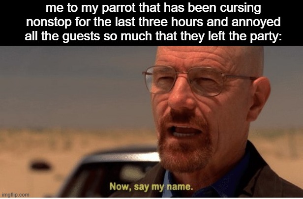 Now, say my name | me to my parrot that has been cursing nonstop for the last three hours and annoyed all the guests so much that they left the party: | image tagged in now say my name | made w/ Imgflip meme maker