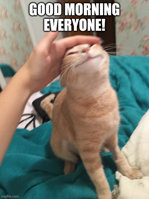 :3 | GOOD MORNING EVERYONE! | image tagged in cat pat | made w/ Imgflip meme maker