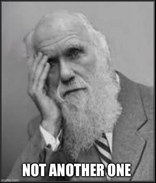 darwin facepalm | NOT ANOTHER ONE | image tagged in darwin facepalm | made w/ Imgflip meme maker