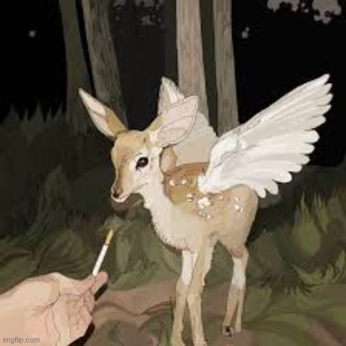 Nat, let's js smoke w33d together n chill, mb for making ya mad lol | image tagged in deer angel,peace offering,weed,smoking,nat,sorry | made w/ Imgflip meme maker