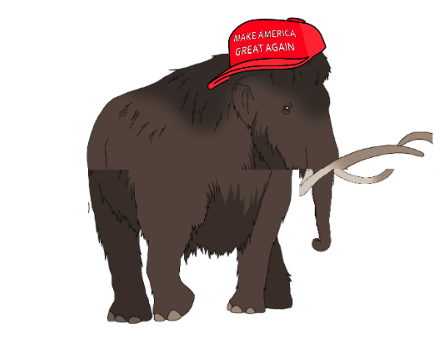 socially awkward elephant Blank Meme Template