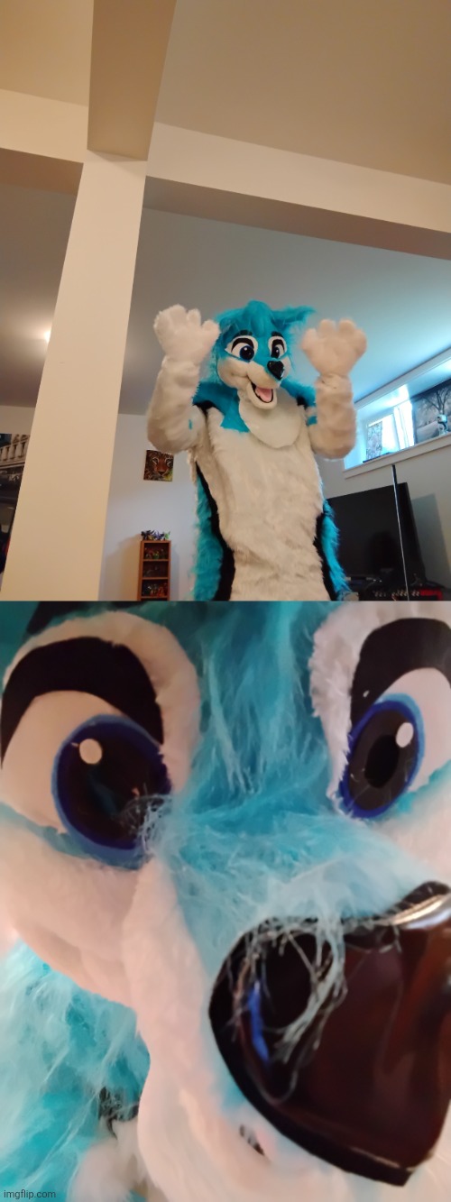 my first fursuit (from Amazon) has arrived | image tagged in fursuit,furry | made w/ Imgflip meme maker