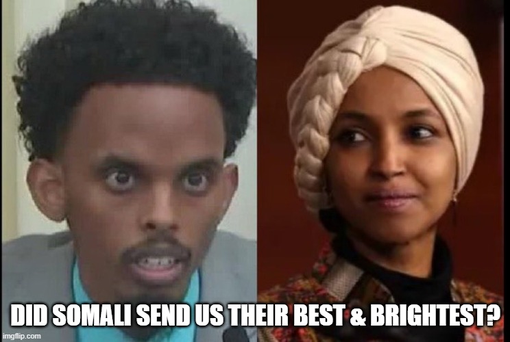 Did Somali send us their Best & Brightest? | DID SOMALI SEND US THEIR BEST & BRIGHTEST? | image tagged in ilhan omar,omar fateh,somalia | made w/ Imgflip meme maker