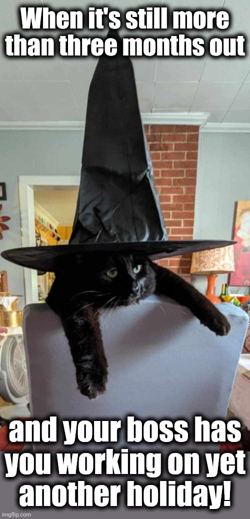 When it's still more
than three months out; and your boss has
you working on yet
another holiday! | image tagged in memes,cats,halloween,black cat,witch,gotta work on holidays | made w/ Imgflip meme maker