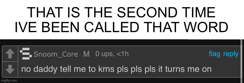 … | THAT IS THE SECOND TIME IVE BEEN CALLED THAT WORD | image tagged in what the fuck snoom | made w/ Imgflip meme maker
