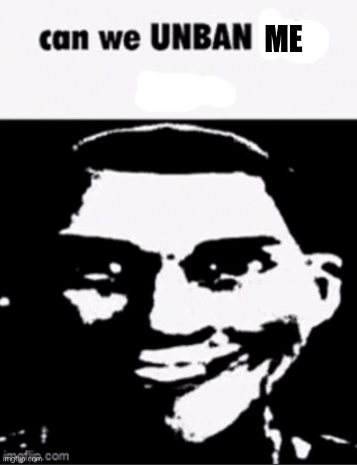 An 8 hour ban is too much for me… also I promise to never do a kys thing again | ME | image tagged in can we unban this guy | made w/ Imgflip meme maker