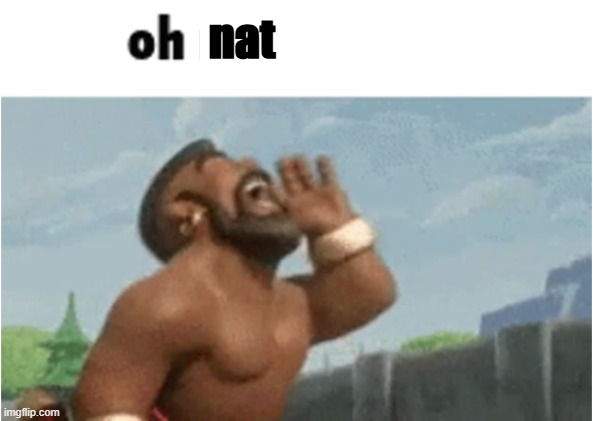 OH MODERATORS | nat | image tagged in oh moderators | made w/ Imgflip meme maker