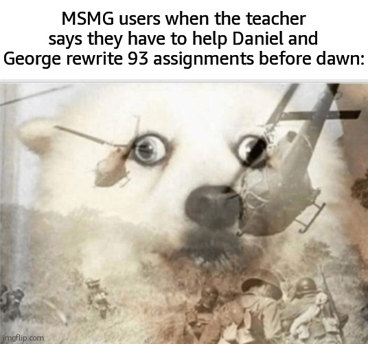 what am i even yapping about atp | MSMG users when the teacher says they have to help Daniel and George rewrite 93 assignments before dawn: | image tagged in ptsd dog | made w/ Imgflip meme maker