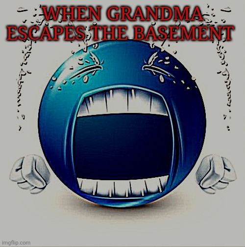 When grandma escapes the basement | WHEN GRANDMA ESCAPES THE BASEMENT | image tagged in crying blue guy | made w/ Imgflip meme maker