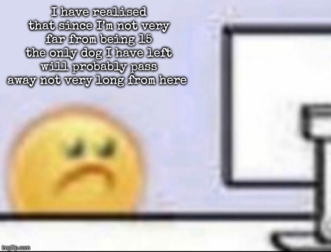 He has been with me for 13 years | I have realised that since I’m not very far from being 15 the only dog I have left will probably pass away not very long from here | image tagged in zad,msmg | made w/ Imgflip meme maker