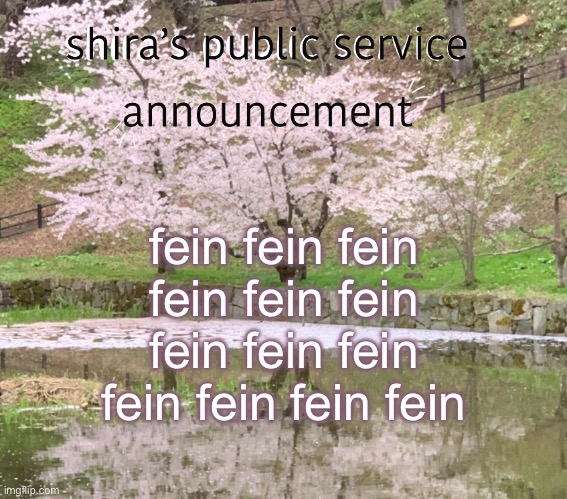 shira’s PSA | fein fein fein fein fein fein fein fein fein fein fein fein fein | image tagged in shira s psa | made w/ Imgflip meme maker