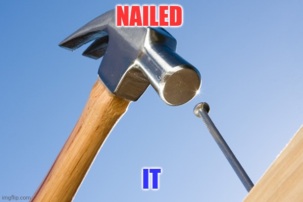 Nailed Ot | NAILED; IT | image tagged in funny memes | made w/ Imgflip meme maker