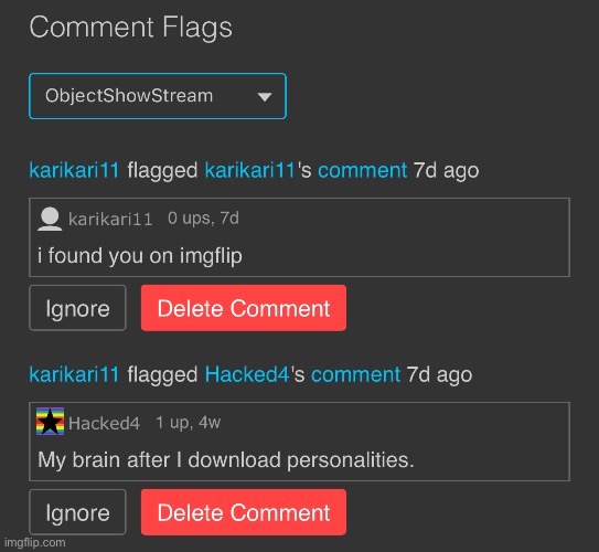 why is bro flagging comments for no reason | made w/ Imgflip meme maker
