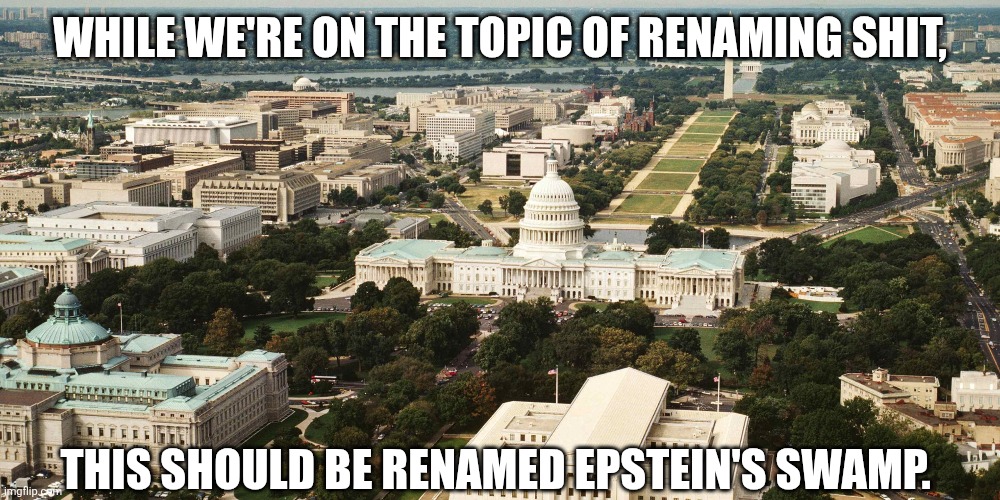Epstein's Swamp | WHILE WE'RE ON THE TOPIC OF RENAMING SHIT, THIS SHOULD BE RENAMED EPSTEIN'S SWAMP. | image tagged in pedophile,jeffrey epstein,washington dc,drain the swamp | made w/ Imgflip meme maker