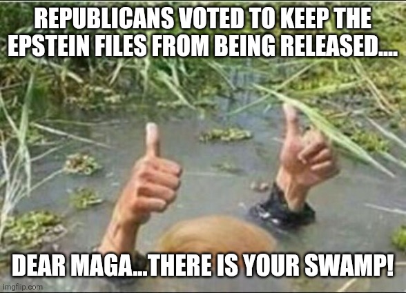 There is the swamp | REPUBLICANS VOTED TO KEEP THE EPSTEIN FILES FROM BEING RELEASED.... DEAR MAGA...THERE IS YOUR SWAMP! | image tagged in jeffrey epstein,epstein,maga,donald trump,trump,drain the swamp | made w/ Imgflip meme maker