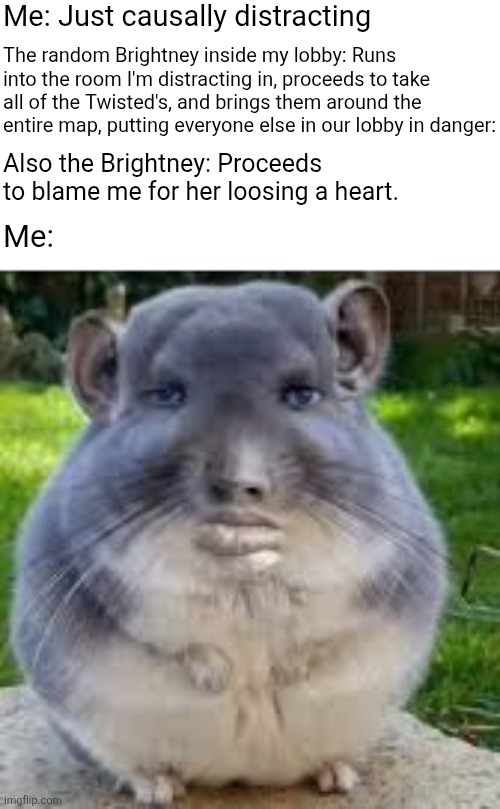 "Adrian" | Me: Just causally distracting; The random Brightney inside my lobby: Runs into the room I'm distracting in, proceeds to take all of the Twisted's, and brings them around the entire map, putting everyone else in our lobby in danger:; Also the Brightney: Proceeds to blame me for her loosing a heart. Me: | image tagged in disappointed chinchilla,memes,dandy's world,roblox,roblox meme,funny | made w/ Imgflip meme maker