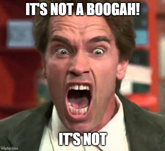 Arnold yelling | IT'S NOT A BOOGAH! IT'S NOT | image tagged in arnold yelling | made w/ Imgflip meme maker