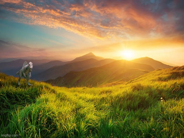 Look at this beautiful view | image tagged in wholesome,happy,nothing to see here | made w/ Imgflip meme maker