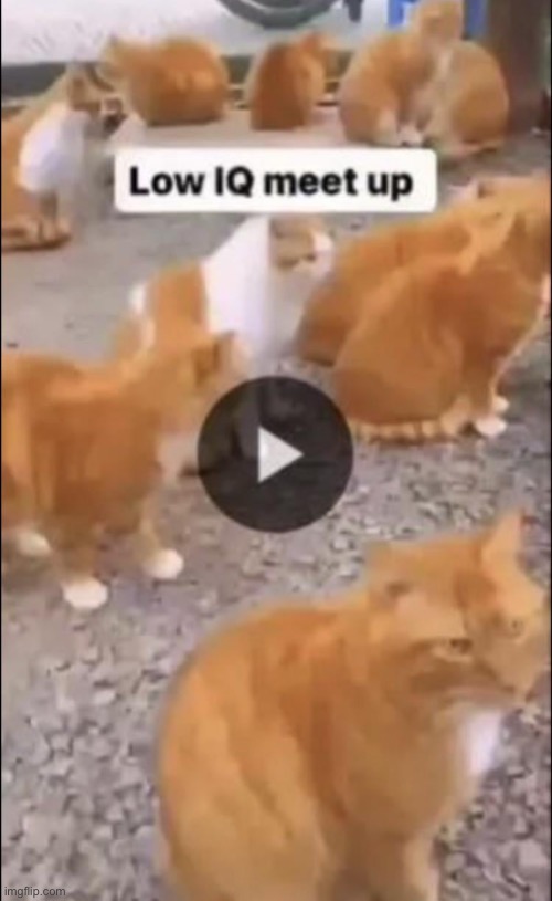 Low IQ meetup | made w/ Imgflip meme maker