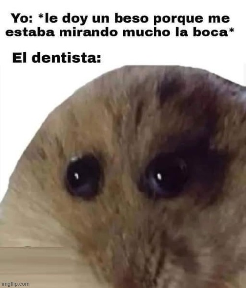 a0o3sy.jpg