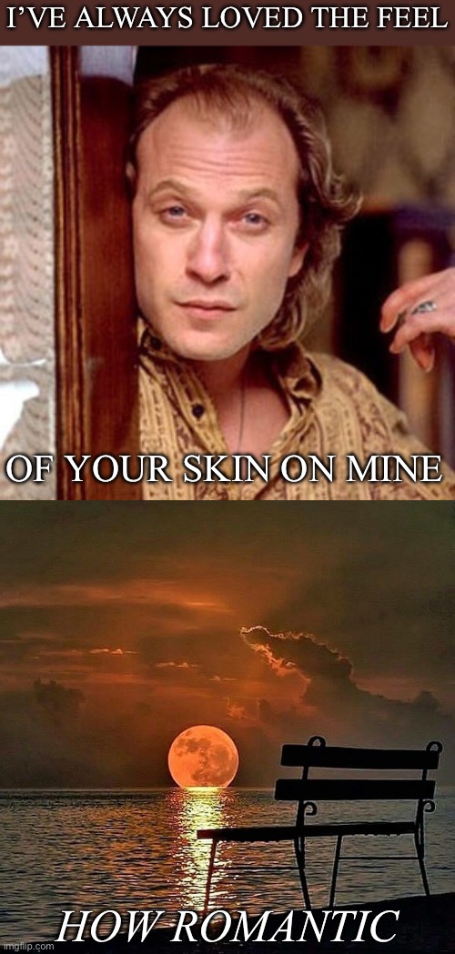 Buffalo Bill, serial killer and hopeless romantic | I’VE ALWAYS LOVED THE FEEL; OF YOUR SKIN ON MINE; HOW ROMANTIC | image tagged in buffalo bill silence of the lambs,romantic sunset | made w/ Imgflip meme maker