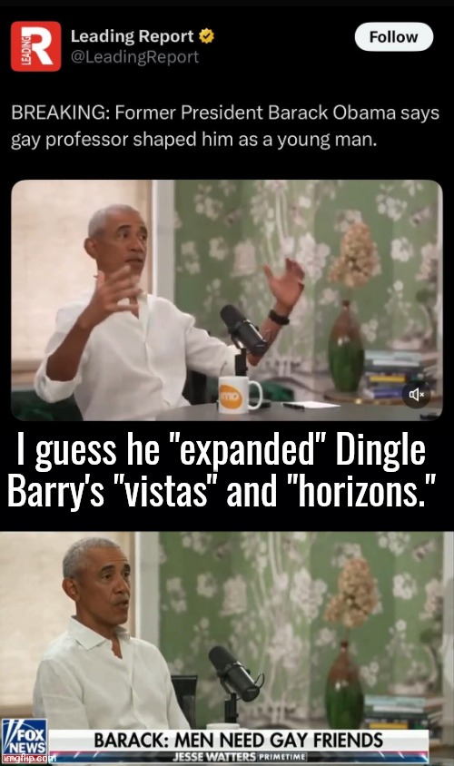 Obama's background experience | I guess he "expanded" Dingle Barry's "vistas" and "horizons." | image tagged in black background,obama,groom,college life | made w/ Imgflip meme maker