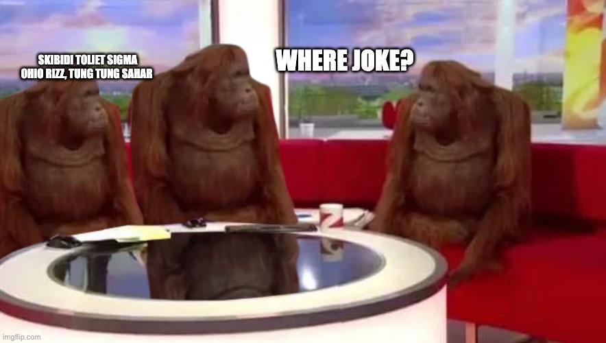 brainrot be like | SKIBIDI TOLIET SIGMA OHIO RIZZ, TUNG TUNG SAHAR; WHERE JOKE? | image tagged in where monkey | made w/ Imgflip meme maker