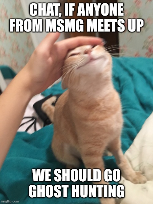 I wanna piss off some ghosts | CHAT, IF ANYONE FROM MSMG MEETS UP; WE SHOULD GO GHOST HUNTING | image tagged in cat pat | made w/ Imgflip meme maker