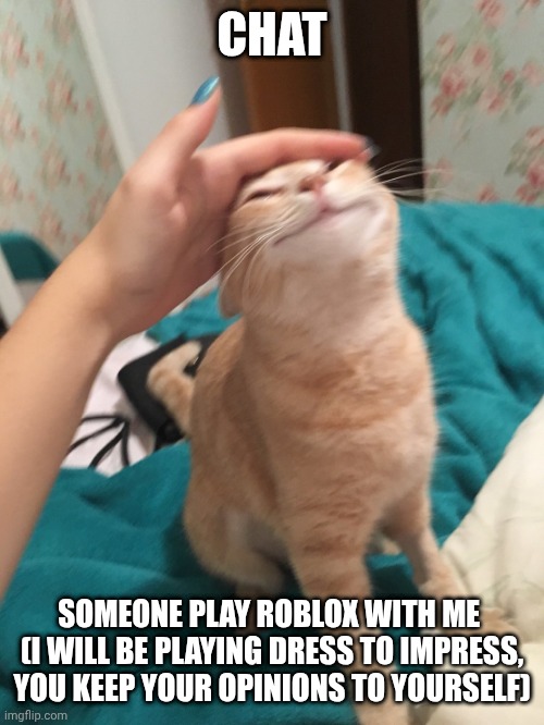 I need to be a diva somehow,  okay | CHAT; SOMEONE PLAY ROBLOX WITH ME 
(I WILL BE PLAYING DRESS TO IMPRESS, YOU KEEP YOUR OPINIONS TO YOURSELF) | image tagged in cat pat | made w/ Imgflip meme maker