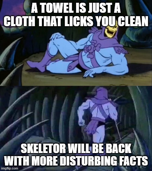 Disturbing Towel Fact | A TOWEL IS JUST A CLOTH THAT LICKS YOU CLEAN; SKELETOR WILL BE BACK WITH MORE DISTURBING FACTS | image tagged in skeletor disturbing facts | made w/ Imgflip meme maker